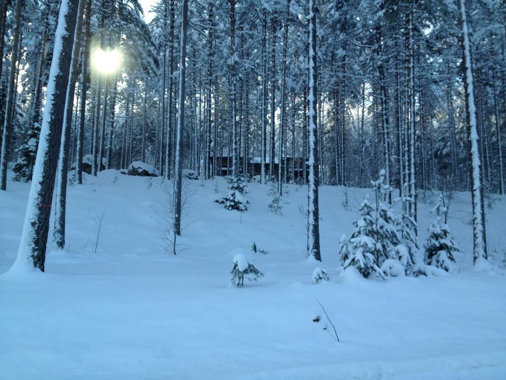 Kultainen Kaava Cottages Padasjoki Exteriör bild